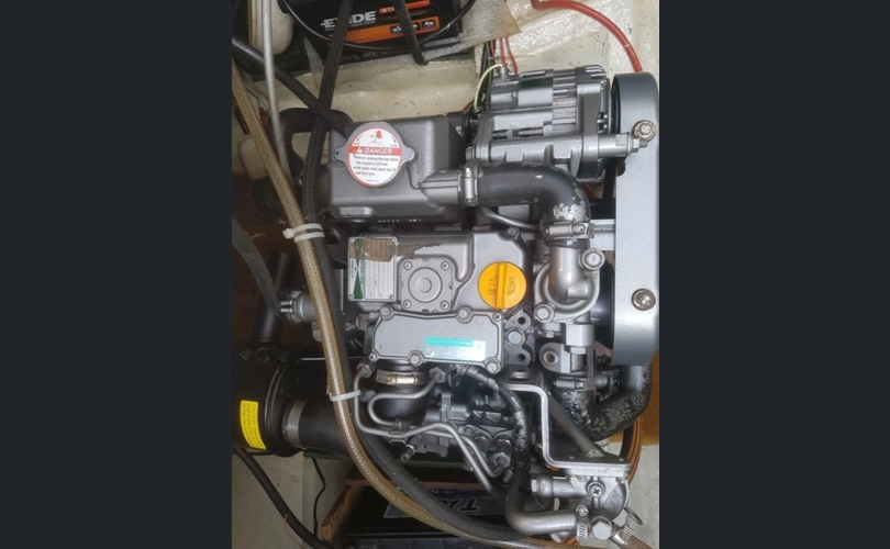 Tamarisk Tamar-kuva-2